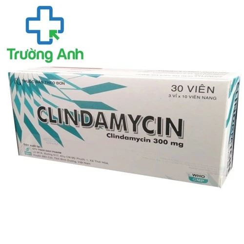 Clindamycin 300 - Thuốc điều trị nhiễm khuẩn hiệu quả của Davipharm