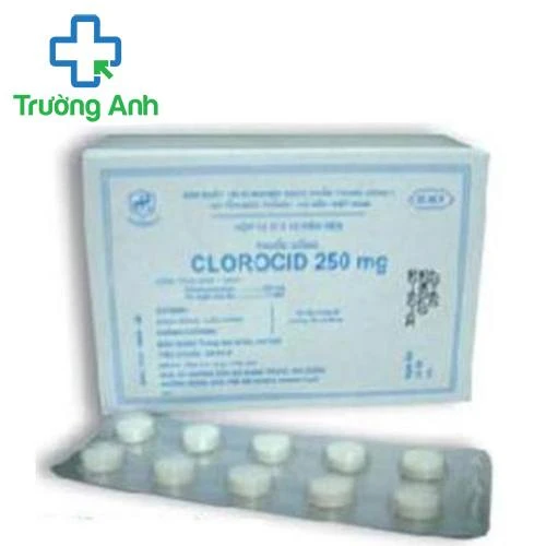 Clorocid 250 mg TW1 - Thuốc kháng sinh trị bệnh hiệu quả