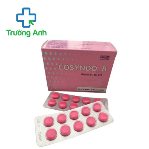 Cosyndo B Armephaco - Thuốc điều trị dự phòng thiếu vitamin nhóm B