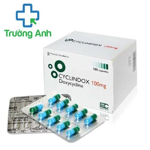 Cyclindox 100mg - Thuốc điều trị nhiễm khuẩn hiệu quả