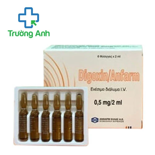 Digoxin/Anfarm 0.5mg/2ml - Thuốc điều trị rối loạn nhịp tim hiệu quả