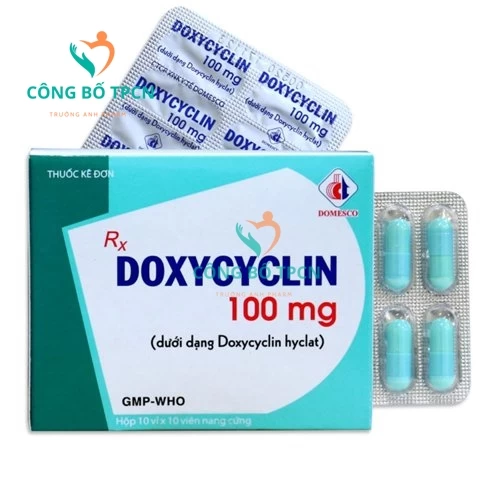 Doxycyclin 100mg Domesco - Thuốc điều trị nhiễm khuẩn hiệu quả