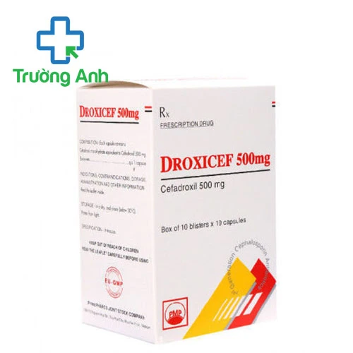 Droxicef 500 Pymepharco - Thuốc điều trị nhiễm khuẩn hiệu quả