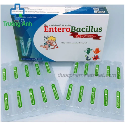 ENTERO BACILLUS - Phòng ngừa rối loạn khuẩn chí đường ruột