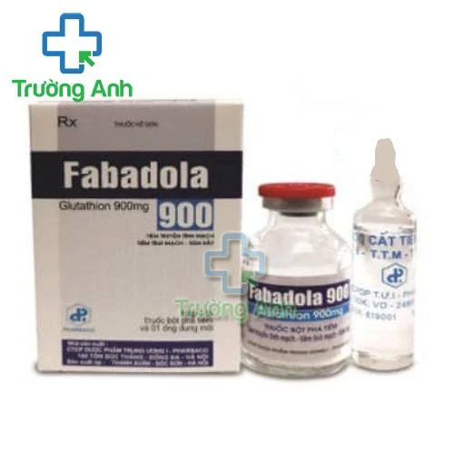 Fabadola 900 - Thuốc điều trị giảm độc tính trên hệ thần kinh