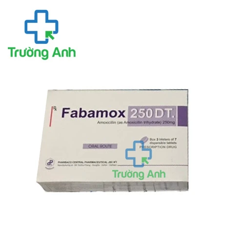 Fabamox 250DT - Thuốc điều trị nhiễm khuẩn đường hô hấp hiệu quả