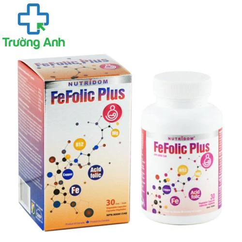 Fefolic plus - Giúp giảm nguy cơ thiếu máu do thiếu sắt 