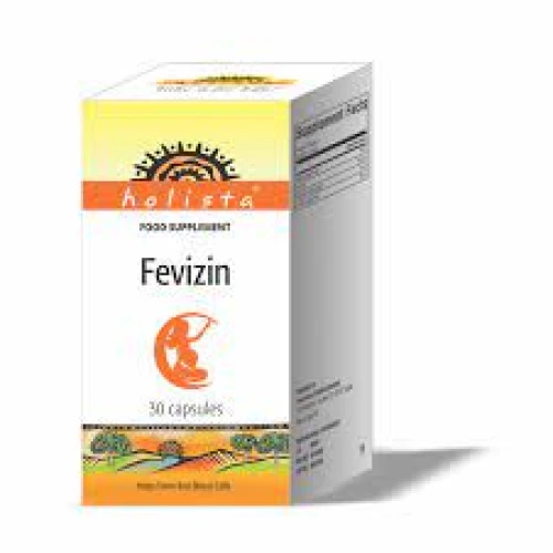 Fevizin - Bổ sung sắt, axit folic hỗ trợ tăng khả năng tạo máu