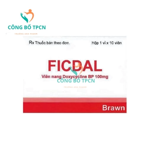 Ficdal