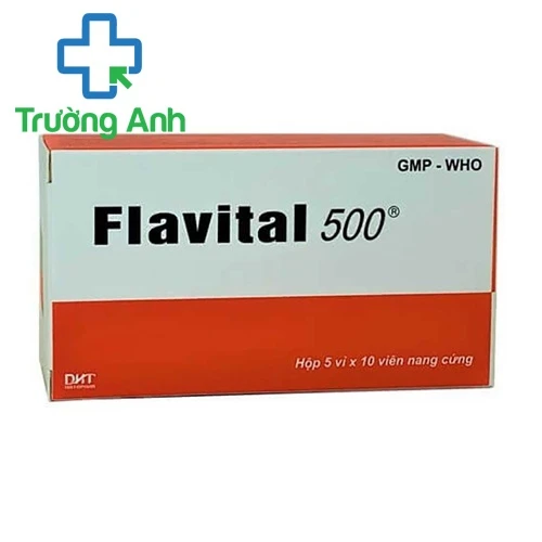 Flavital 500 - Thuốc tăng cường sức khỏe hệ tim mạch hiệu quả