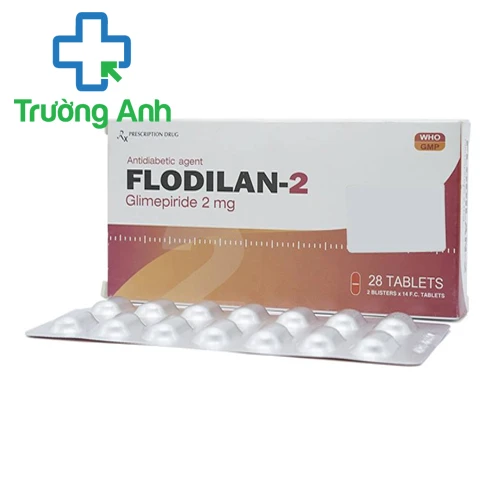 Flodilan-2 - Thuốc điều trị bệnh đái tháo đường của Davipharm