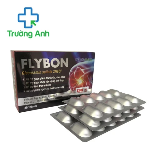 Flybon – Hỗ trợ bổ sung dưỡng chất cho khớp