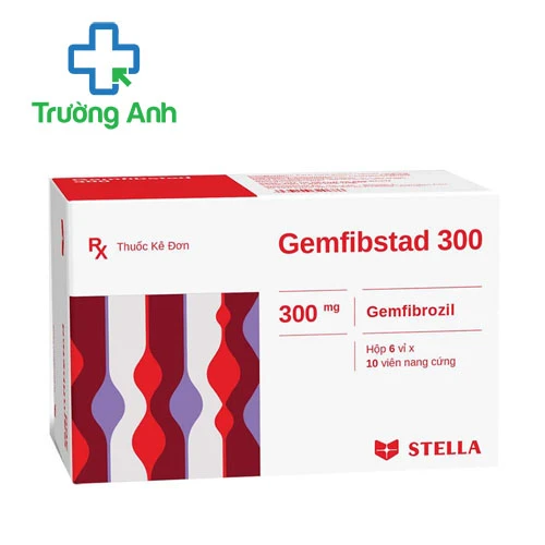 Gemfibstad 300 Stella - Thuốc điều trị tăng lipid hiệu quả