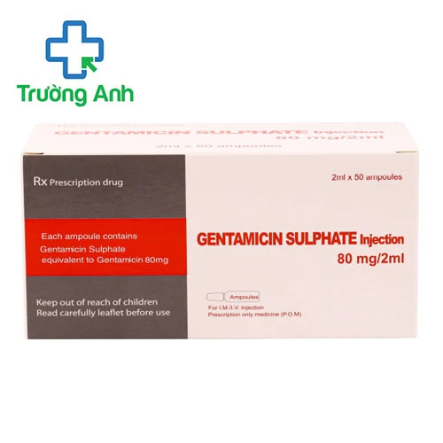 Gentamicin Sulphate injection - Thuốc điều trị nhiễm khuẩn hiệu quả của Thái Lan