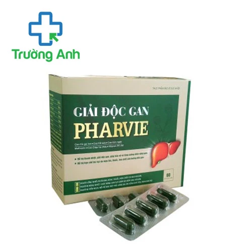 Giải độc gan Pharvie – Hỗ trợ tăng cường chức năng gan