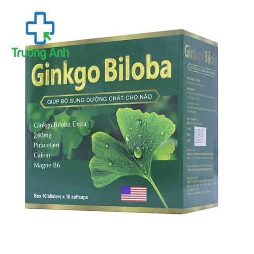 Gingko Biloba - Hỗ trợ điều trị thiểu năng tuần hoàn não
