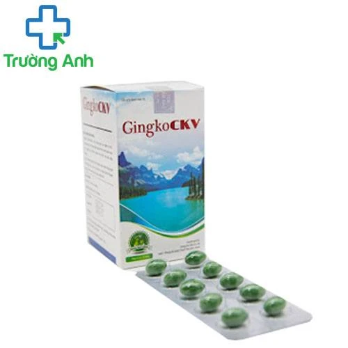 GingkoCkv - Hỗ trợ hoạt huyết, tăng cường tuần hoàn máu não