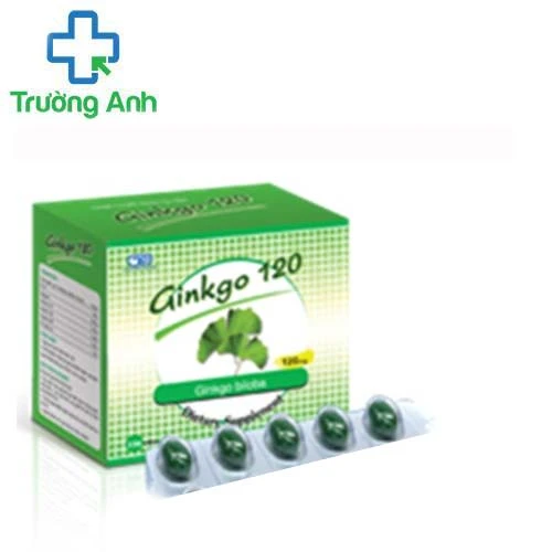 Ginkgo 120 - Giúp giảm các triệu chứng thiểu năng tuần hoàn não