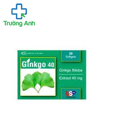 Ginkgo 40 - Giúp bổ huyết, lưu thông khí huyết