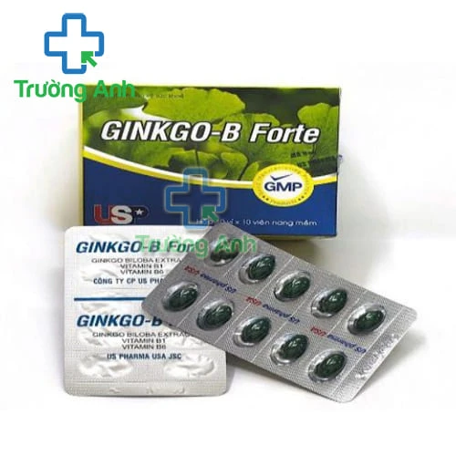Ginkgo-B Forte - Thực phẩm chức năng tăng cường tuần hoàn não