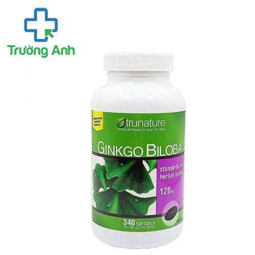 Ginkgo Biloba 120mg - Hỗ trợ điều trị chứng đau nửa đầu