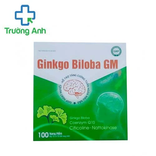 Ginkgo Biloba GM - Hỗ trợ tăng cường tuần hoàn não