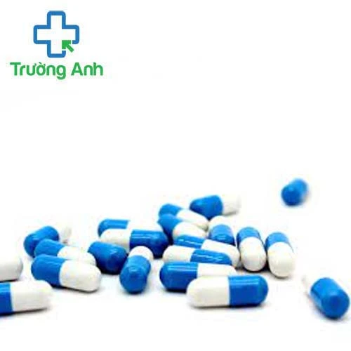 Ginkgo biloba Pro - Hỗ trợ tăng cường khả năng hoạt động của não