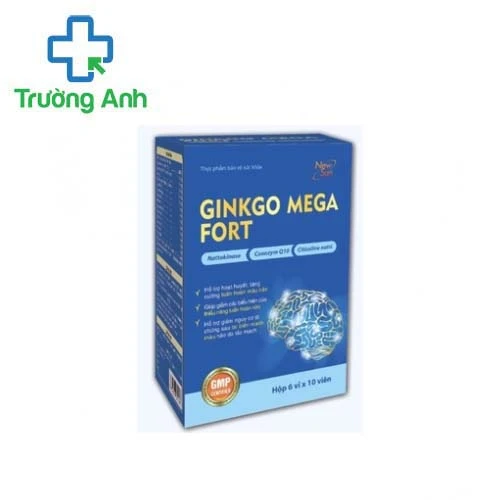 Ginkgo Mega Fort - Hỗ trợ tăng cường tuần hoàn máu não