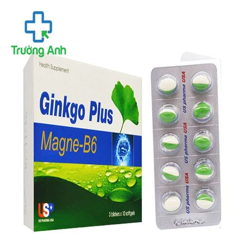 Ginkgo Plus - Giúp tăng cường tuần hoàn não hiệu quả