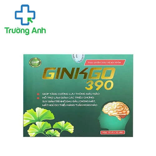 Ginkgo 390 - Giúp hỗ trợ tăng cường lưu thông tuần hoàn máu não