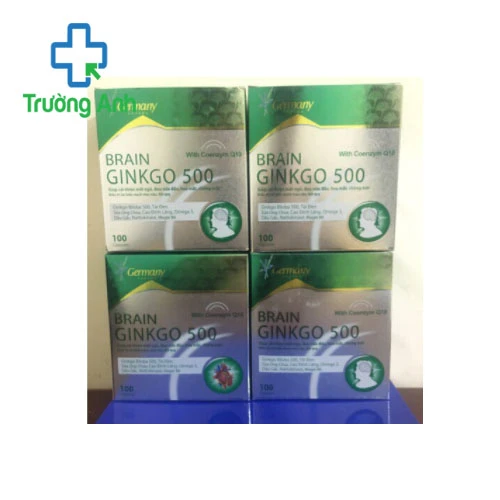 Ginko Brain TL - Giúp hoạt huyết, tăng cường lưu thông máu