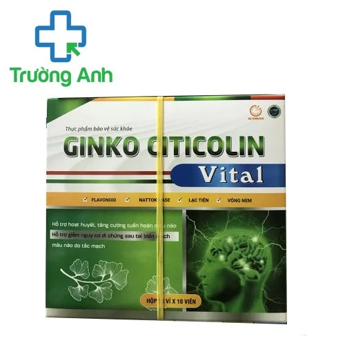 Ginko Citicolin Vital -  Giúp tăng cường tuần hoàn máu não hiệu quả