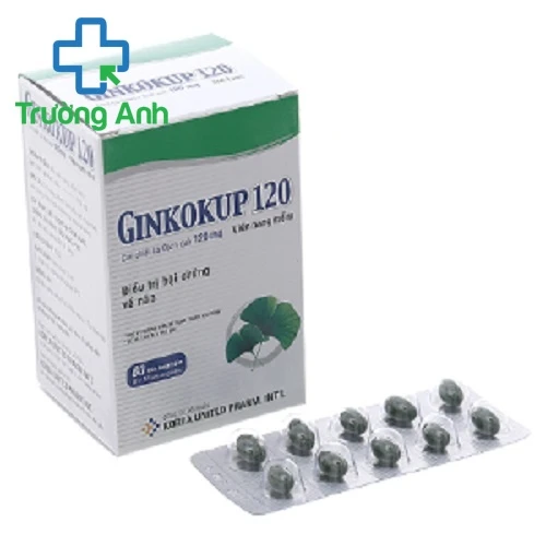 Ginkokup 120mg - Thuốc điều trị các bệnh rối loạn trí não của Korea