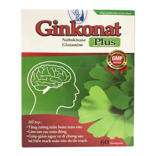 Ginkonat Plus - Hỗ trợ tăng cường tuần hoàn máu não