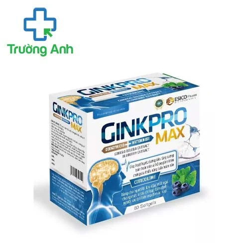 GinkPro Max - Hỗ trợ tăng cường tuần hoàn não