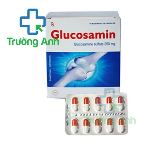 Glucosamin 250mg Quapharco - Thuốc điều trị thoái hóa xương khớp hiệu quả