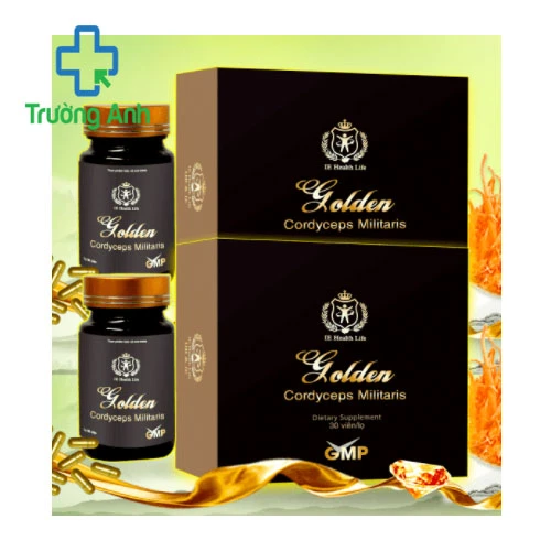 GOLDEN CORDYCEPS MILITARIS - Giúp tăng cường hệ miễn dịch