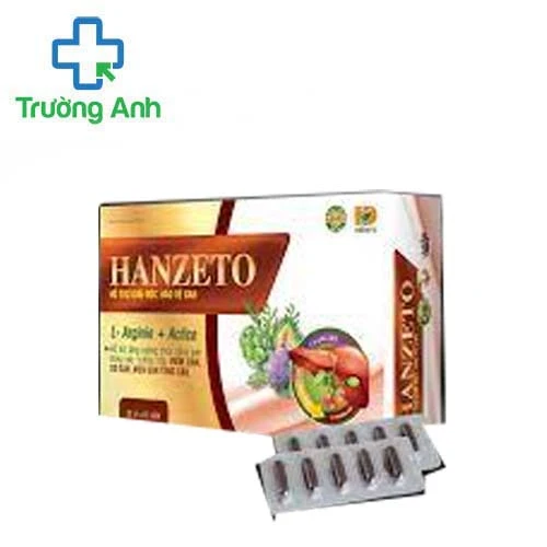 Hanzeto - Hỗ trợ làm giảm triệu chứng như vàng da, mệt mỏi