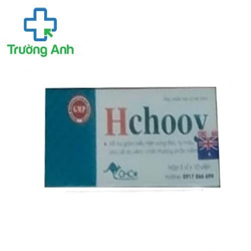 Hchooy - Hỗ trợ làm giảm sưng đau, tụ máu, phù nề