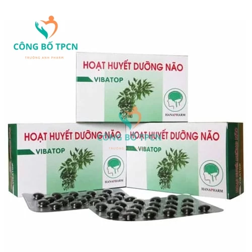 Hoạt Huyết Dưỡng Não Vibatop - Phòng và điều trị thiểu năng tuần hoàn não