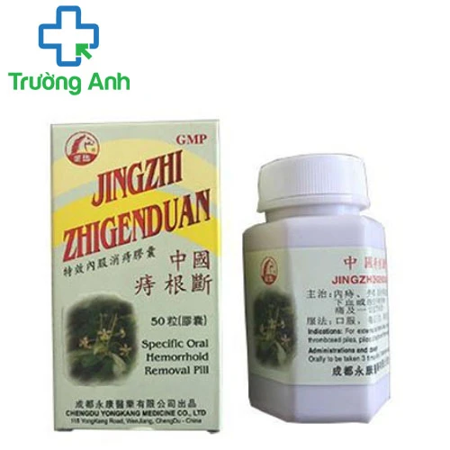 Jingzhi Zhigenduan (Trĩ căn đoạn) - Hỗ trợ giảm triệu chứng bệnh trĩ  