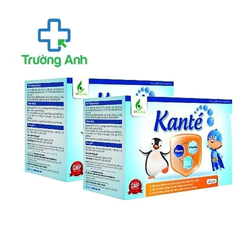 Thực phẩm bảo vệ sức khỏe KANTÉ