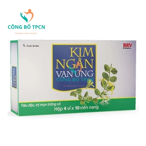 Kim ngân vạn ứng BV Pharma - Thuốc điều trị dị ứng hiệu quả