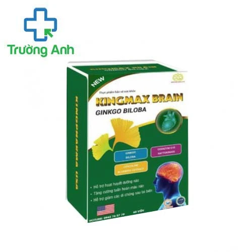 Kingmax Brain Ginkgo Biloba - Giúp tăng cường tuần hoàn máu não