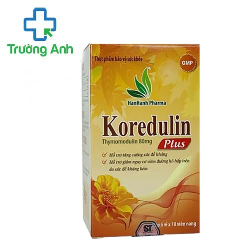 Koredulin Plus - Hỗ trợ điều trị HIV/AIDS, bệnh viêm gan B