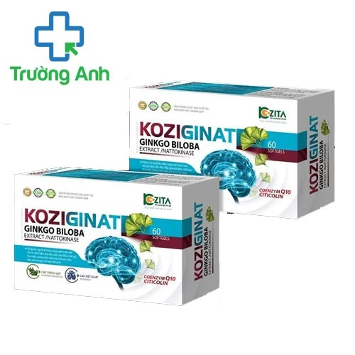 Koziginat - Giúp tăng cường tuần hoàn máu não
