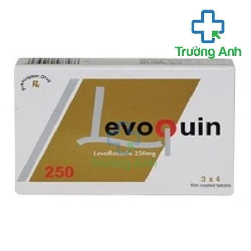Levoquin 250 Pymepharco - Thuốc điều trị nhiễm trùng của Việt Nam