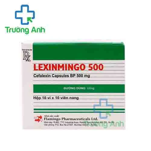 Lexinmingo 500 - Thuốc điều trị nhiễm khuẩn của India