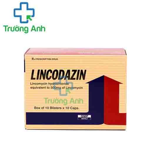 Lincodazin - Thuốc điều trị nhiểm khuẩn hiệu quả