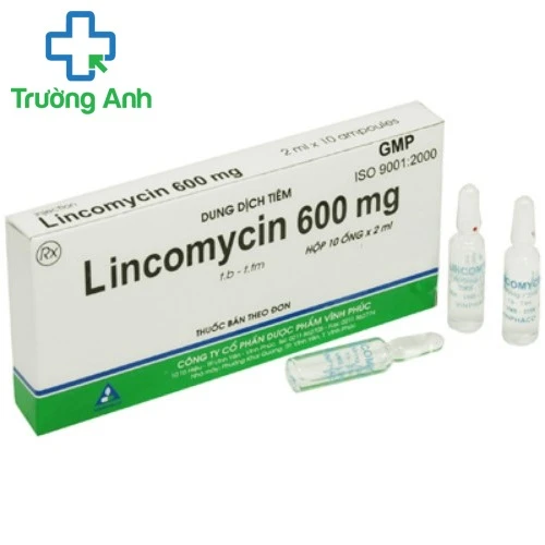 Lincomycin Vinphaco - Thuốc điều trị bệnh nhiễm khuẩn hiệu quả